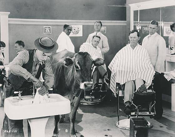 forhåndsvisning af film