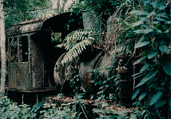 layout image (to proper size of the container)