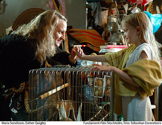 forhåndsvisning af film