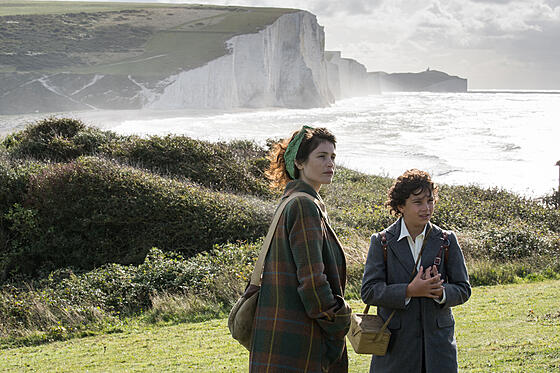 layout image (to proper size of the container)