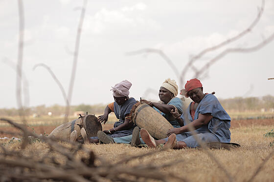 forhåndsvisning af film