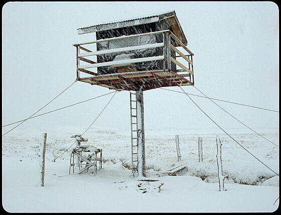 forhåndsvisning af film