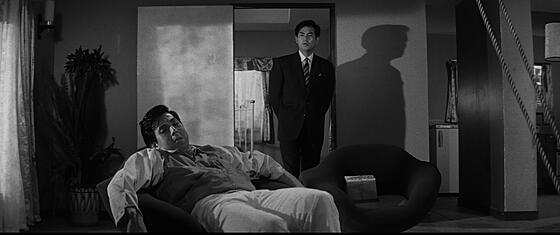 forhåndsvisning af film