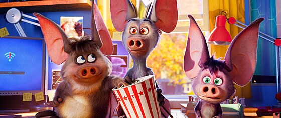 forhåndsvisning af film