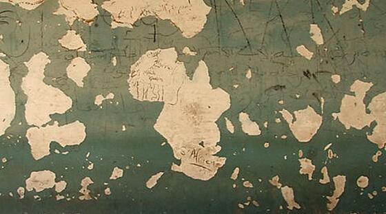 layout image (to proper size of the container)