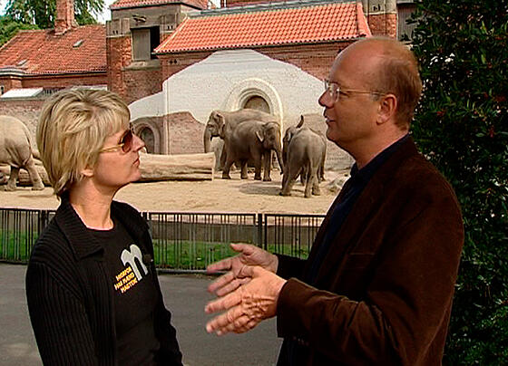 forhåndsvisning af film