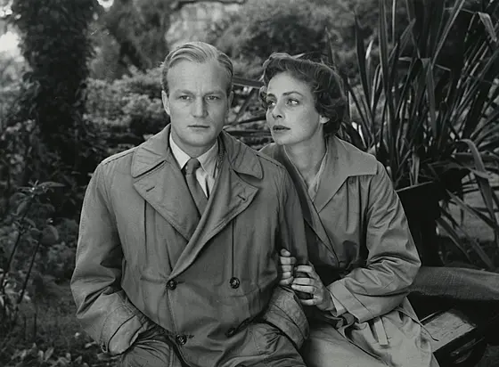 forhåndsvisning af film