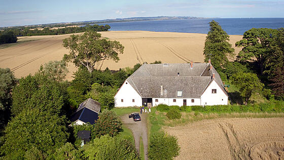 layout image (to proper size of the container)