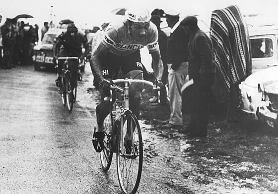 layout image (to proper size of the container)