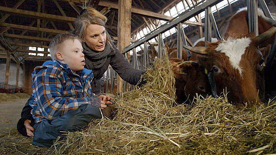 forhåndsvisning af film