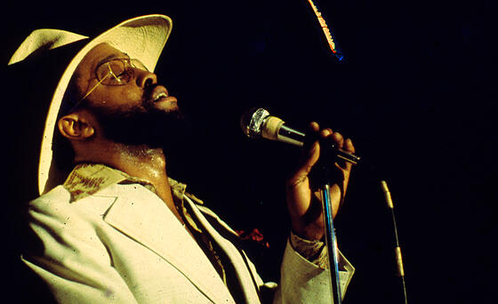 layout image (to proper size of the container)