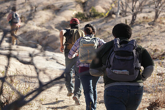 forhåndsvisning af film