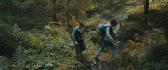 forhåndsvisning af film