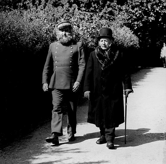 forhåndsvisning af film