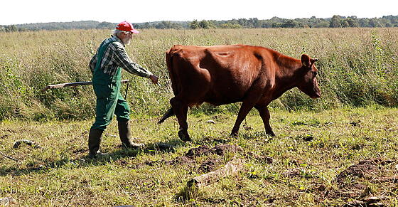 forhåndsvisning af film