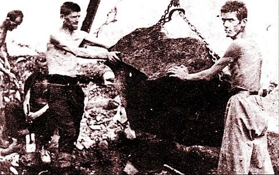 layout image (to proper size of the container)