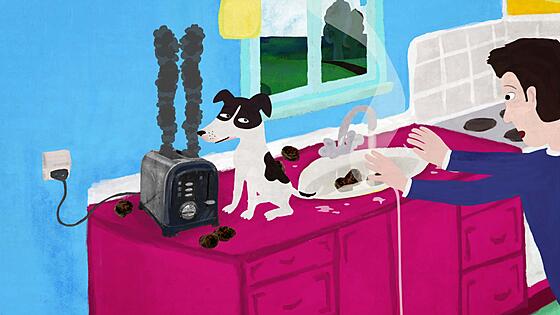 layout image (to proper size of the container)