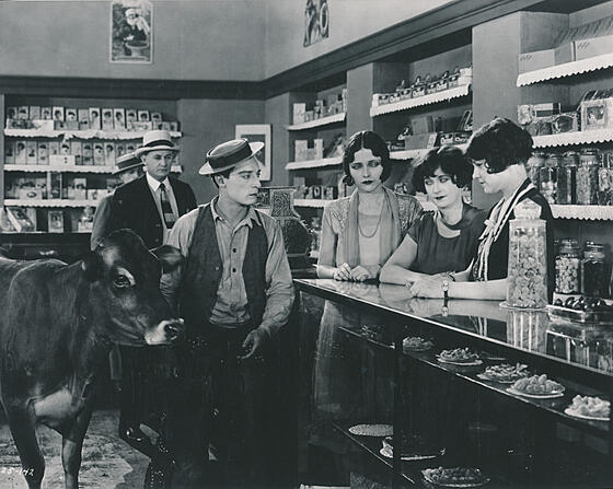 layout image (to proper size of the container)