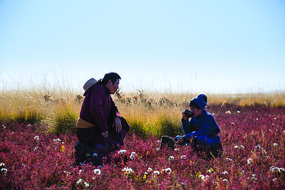forhåndsvisning af film