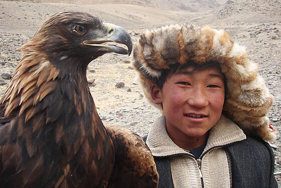 forhåndsvisning af film