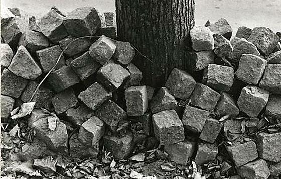 layout image (to proper size of the container)