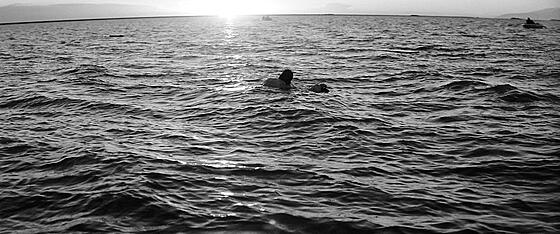 layout image (to proper size of the container)