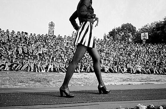 forhåndsvisning af film