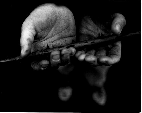 layout image (to proper size of the container)