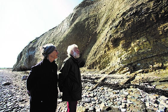 layout image (to proper size of the container)