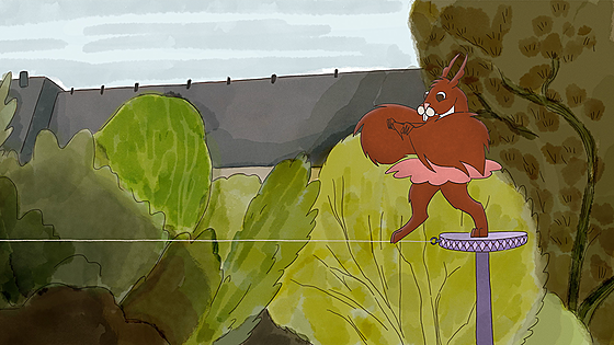 forhåndsvisning af film