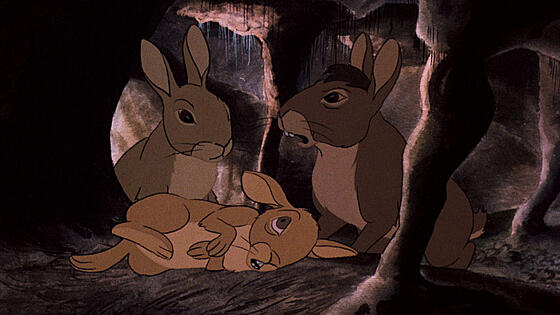 forhåndsvisning af film