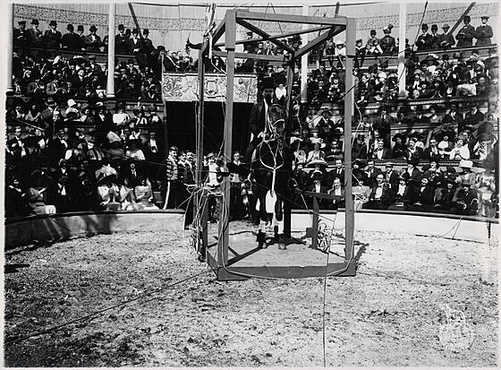 layout image (to proper size of the container)