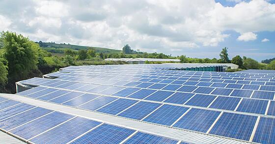 forhåndsvisning af film