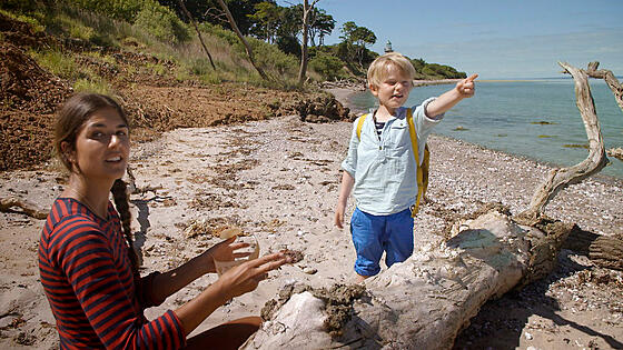 layout image (to proper size of the container)