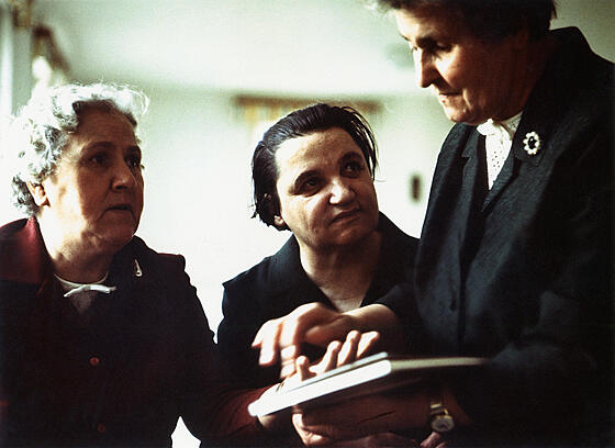 layout image (to proper size of the container)