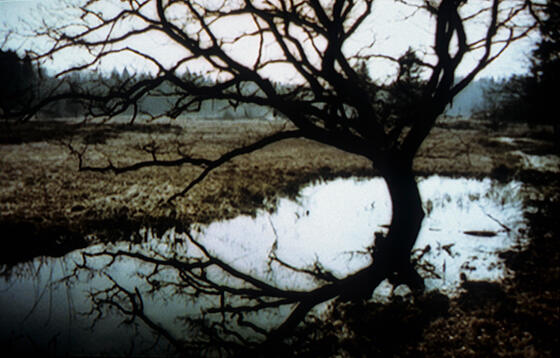 forhåndsvisning af film