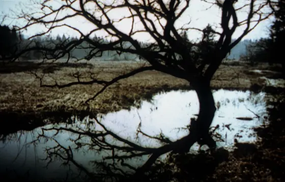 forhåndsvisning af film