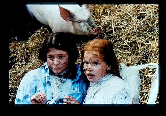 layout image (to proper size of the container)