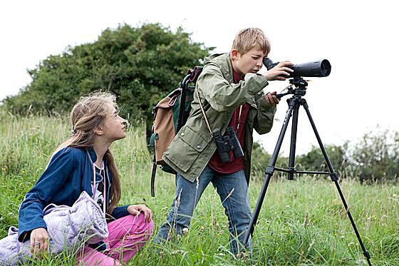 forhåndsvisning af film
