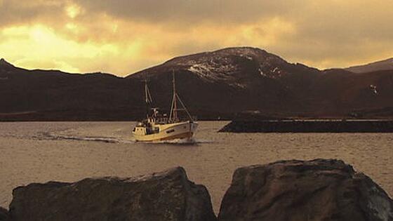 layout image (to proper size of the container)