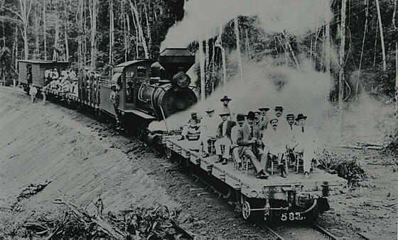 forhåndsvisning af film