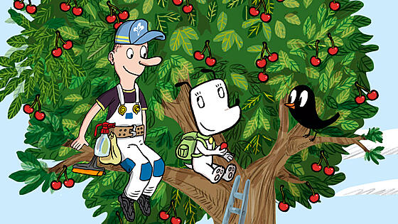 forhåndsvisning af film