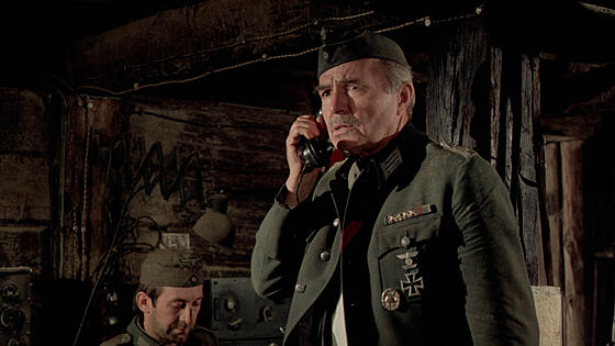 layout image (to proper size of the container)