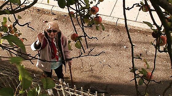 forhåndsvisning af film