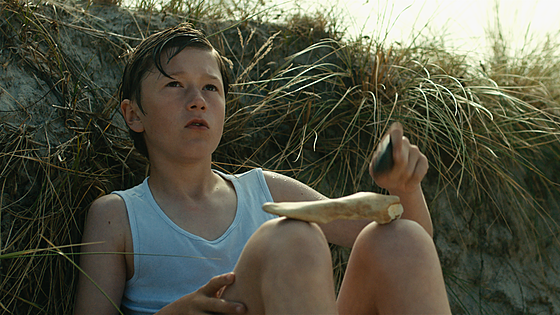 forhåndsvisning af film