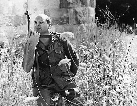 forhåndsvisning af film