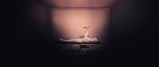 forhåndsvisning af film