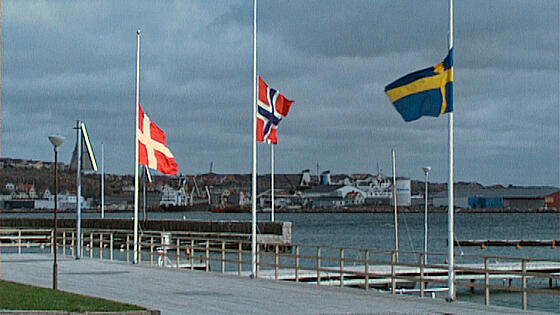 forhåndsvisning af film