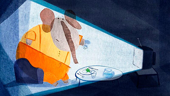 forhåndsvisning af film