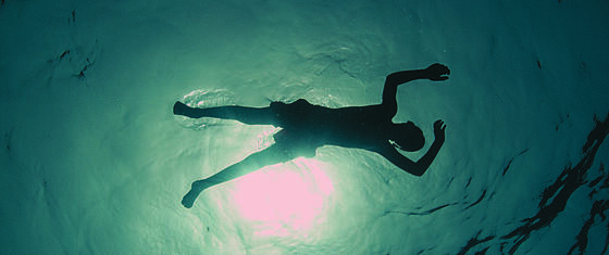 layout image (to proper size of the container)